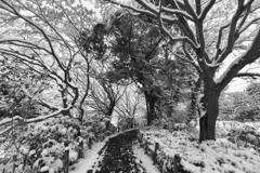 海につづく小径