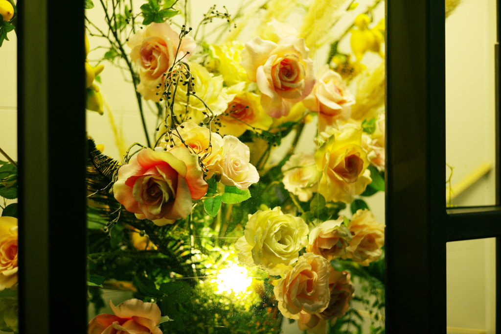 銀座の花