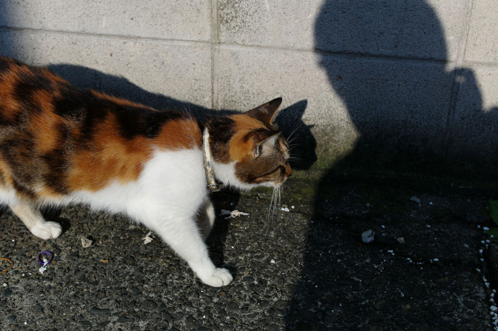 この町の風景 6