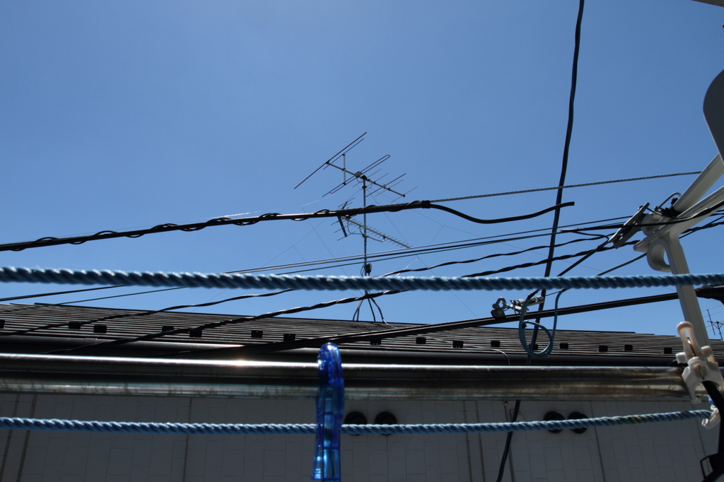 良い天気、おでかけしたい気分