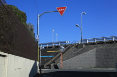 荒川土手