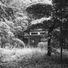 森にたたずむ家