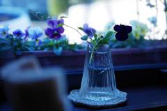 blue