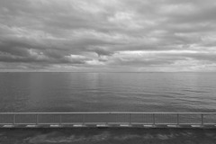 東京湾、舞浜の海