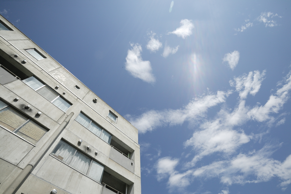 夏の空