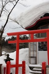 春を待つ
