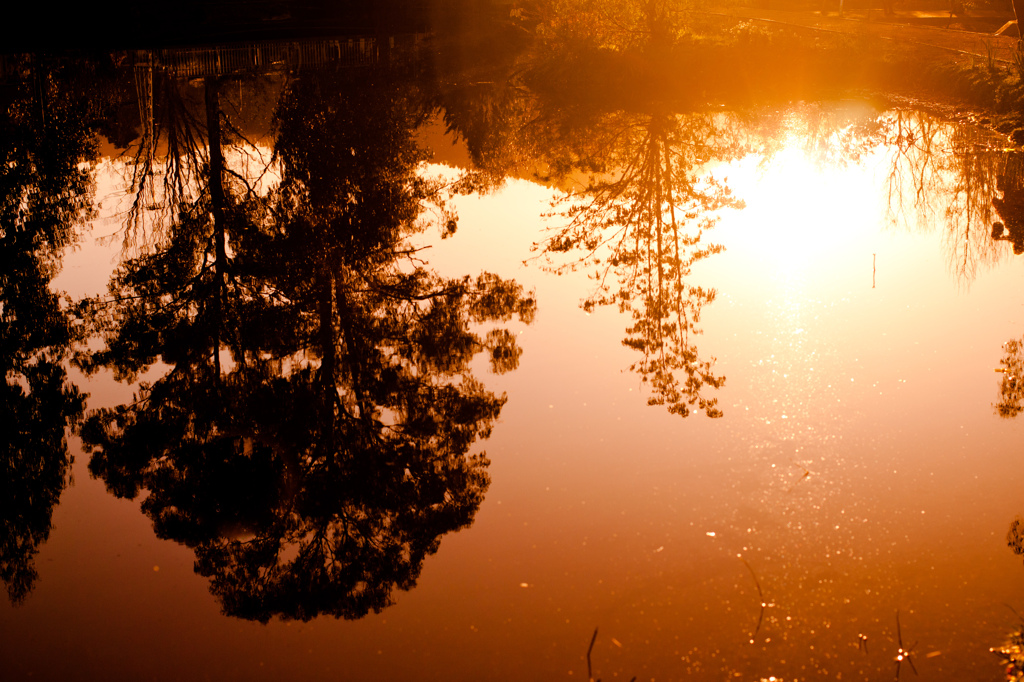 夕陽のリフレクション