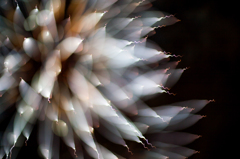 Winter Fireworks Docklands Melbourne Aus