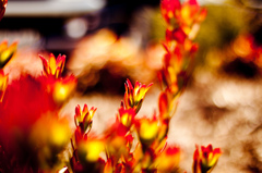 パーキングの片隅で