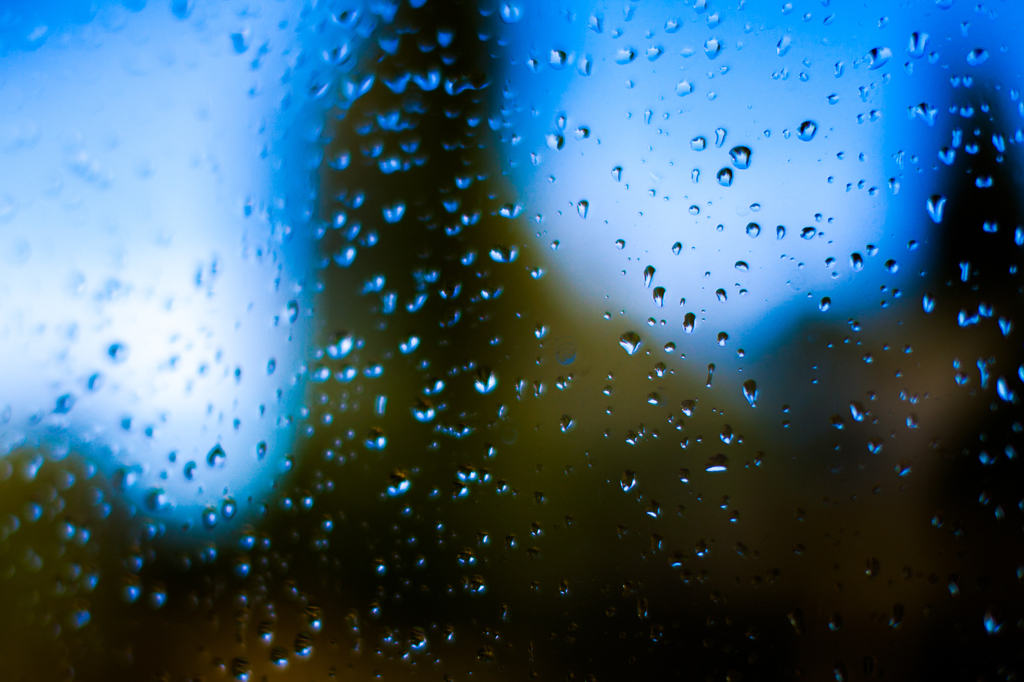 雨の跡