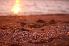 夕焼けの砂浜