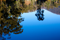 水面に反射する景色