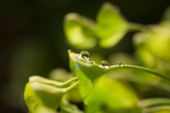水滴