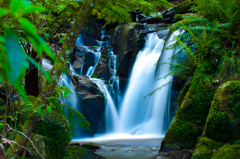 Mt Dandenong Range : FALLS