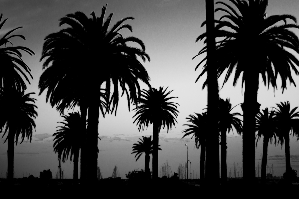 セントキルダの車中から