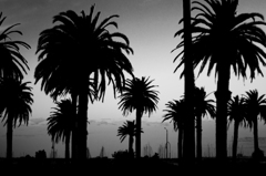 セントキルダの車中から