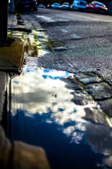 After the rain