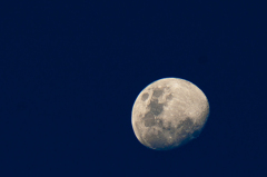 メルボルンから見上げたお月様