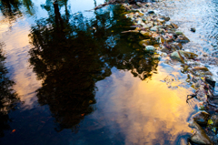 水面のリフレクション