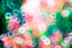 Ring Bokeh 01