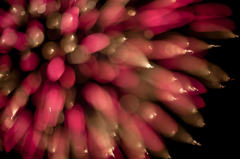 Winter Fireworks Docklands Melbourne Aus