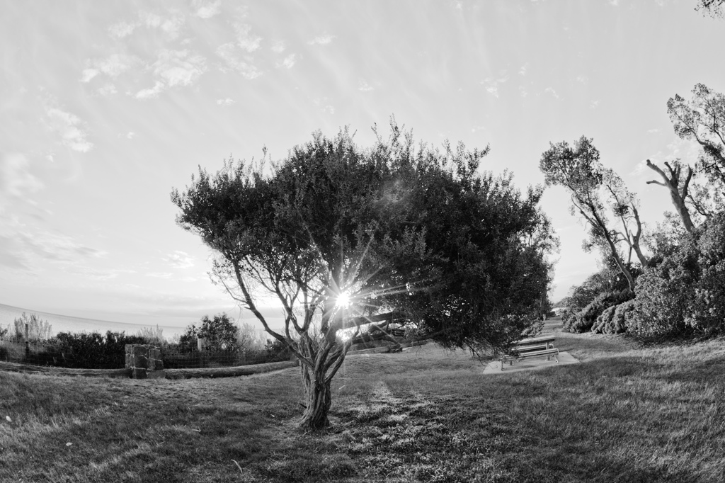 モノクロな夕焼け