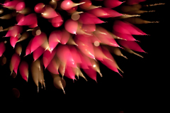 Winter Fireworks Docklands Melbourne Aus