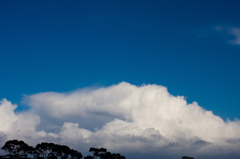 窓の外は雨もやみ晴天に