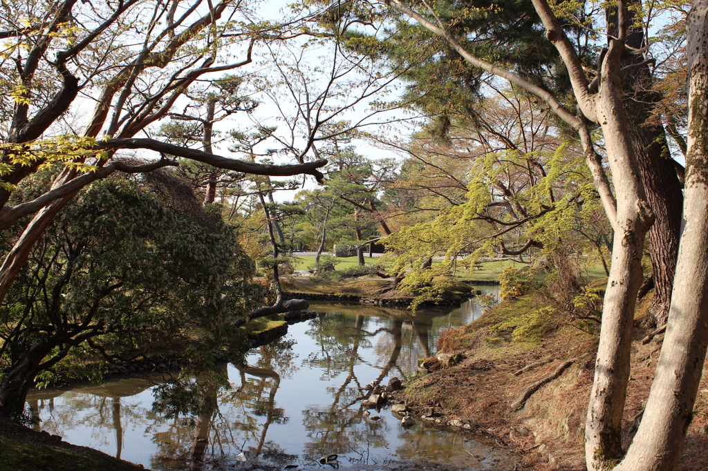 奈良公園