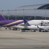 大きさ比べ