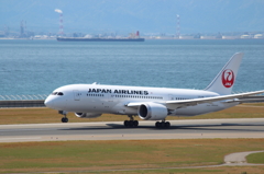 JAL B787-8 テストフライト