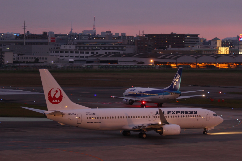 JEX B737-800