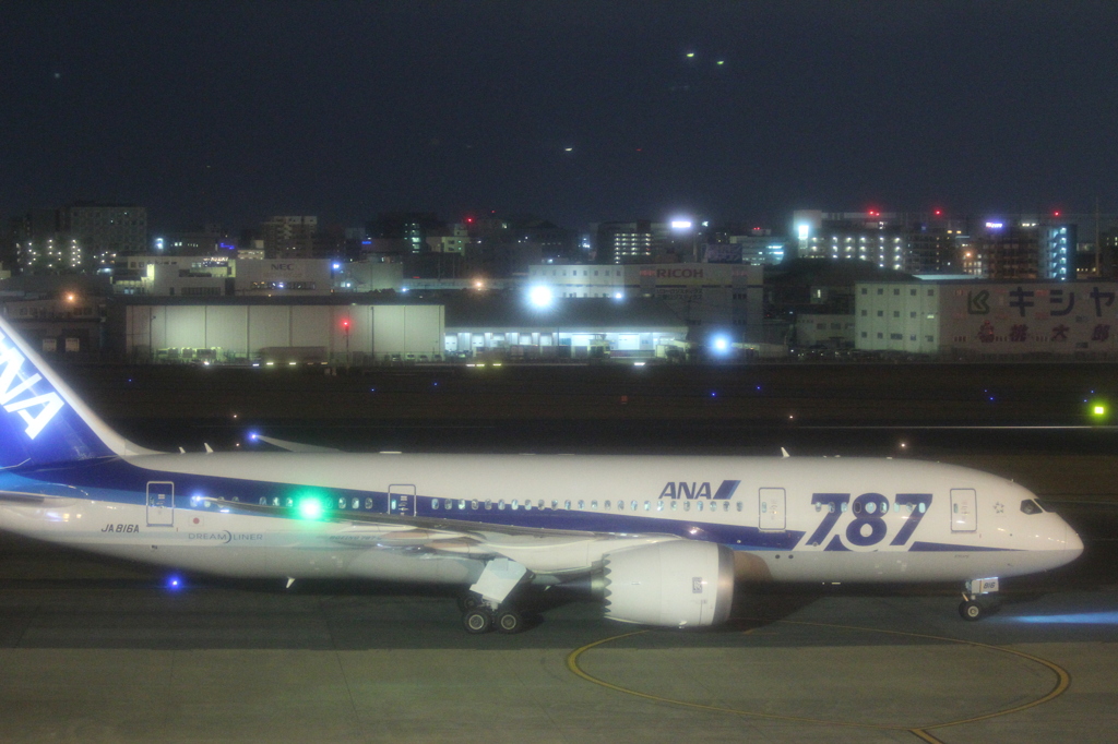 ANA B787-8