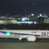 ANA B787-8