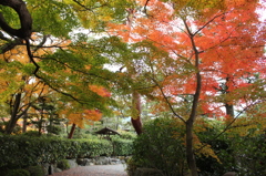 白川院