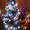 高森湧水トンネル公園クリスマス