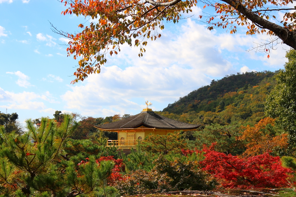 金閣寺と紅葉