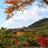 金閣寺と紅葉