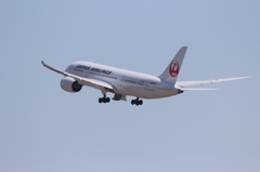 JAL B787-8 テストフライト