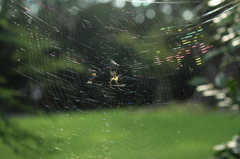 にじいろのいえ