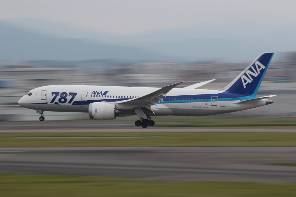 ANA B787-8