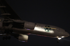 JAL B777-200