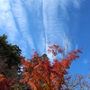 秋雲
