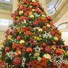 羽田空港赤組のクリスマスツリー