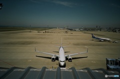 中部国際空港