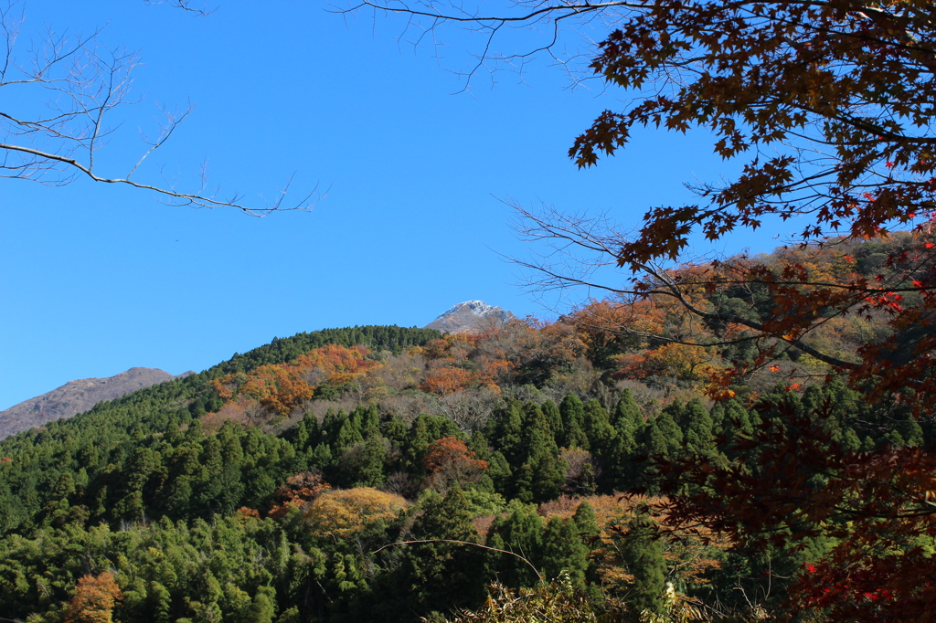 由布岳