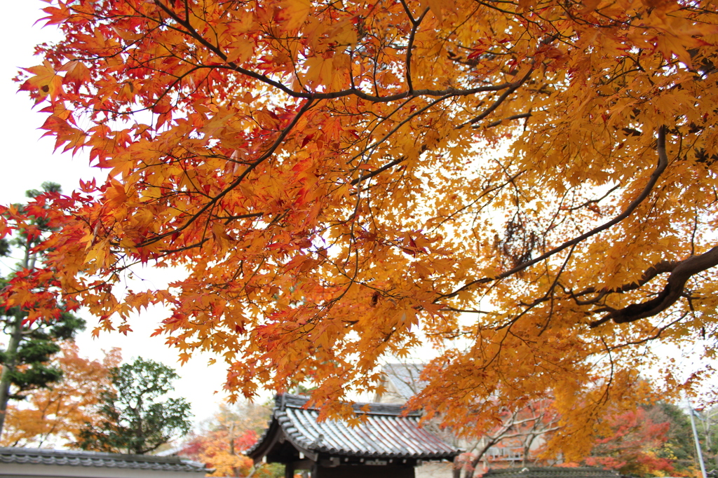南禅寺
