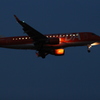 FDA ERJ-175
