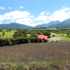 九重ラベンダー園
