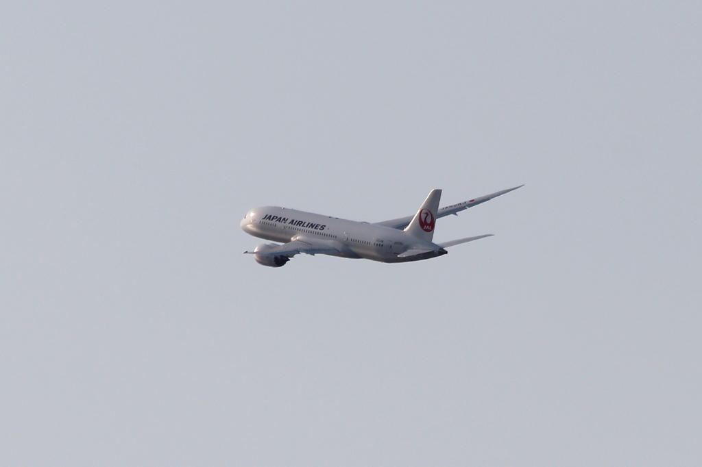 JAL B787-8 テストフライト